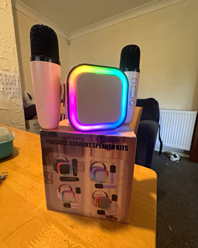 Portable pink karaoke speaker - pink,