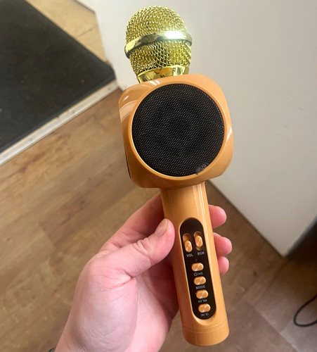 289 gold handheld karaoke - gold,