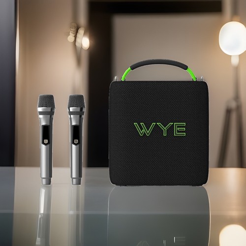 Wye 120w high - high, karaoke