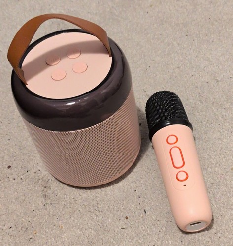 Pink karaoke microphone - pink,